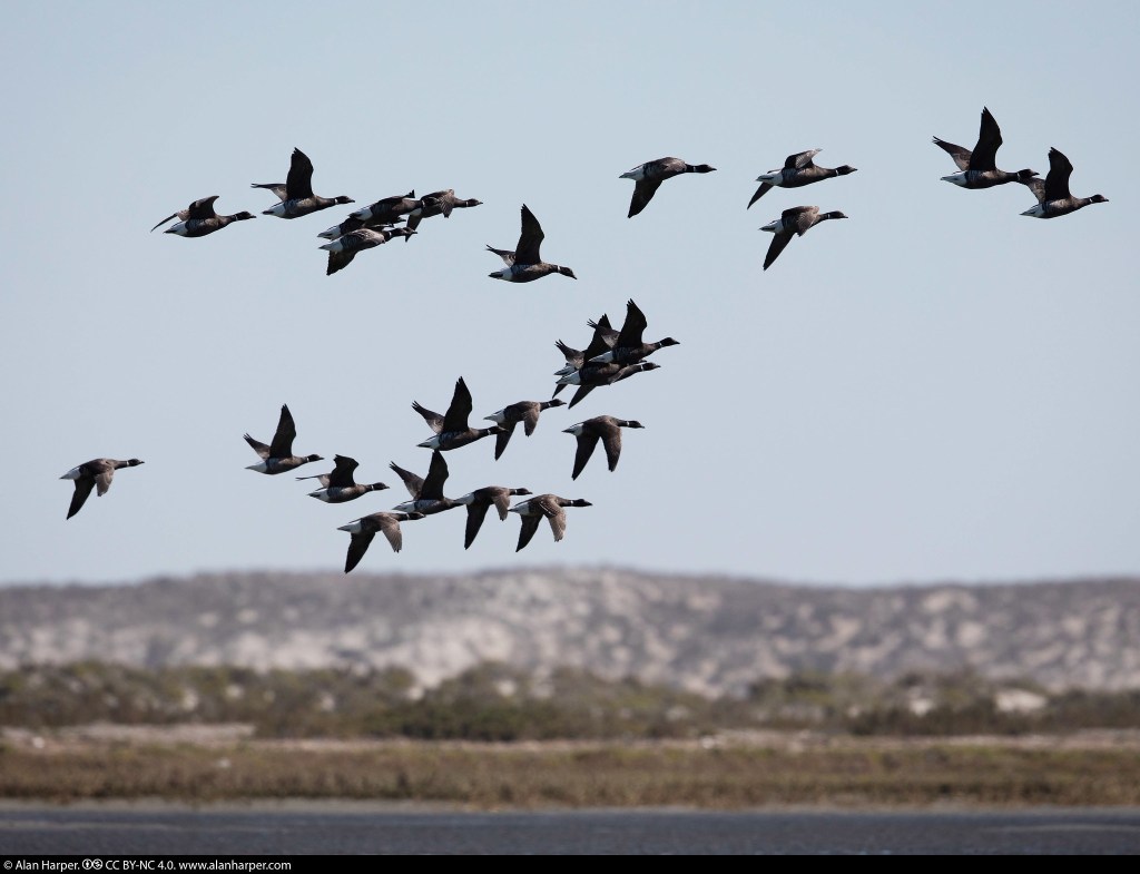 Laguna Manuela y Punta Santo&nbsp;Domingo