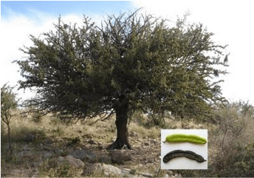 Una visita inesperada a Valle de&nbsp;Guadalupe