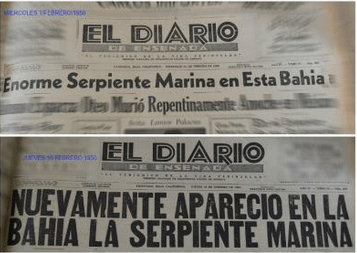 La serpiente gigante que arribó a las aguas de&nbsp;Ensenada