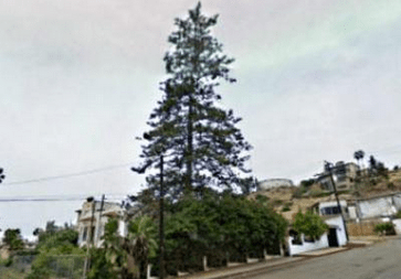 Los conflictos de la&nbsp;historia