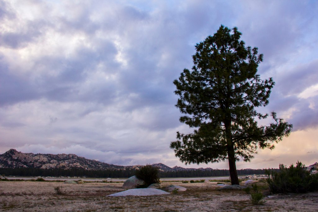 La extraña desaparición del sr. Jacob B.&nbsp;Hanson