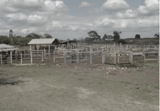 Los veranos en el&nbsp;rancho