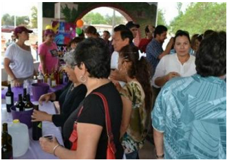 Una experiencia en la fiesta de vendimia en el ejido El&nbsp;Porvenir
