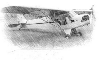 Sembrando pinos desde el&nbsp;cielo